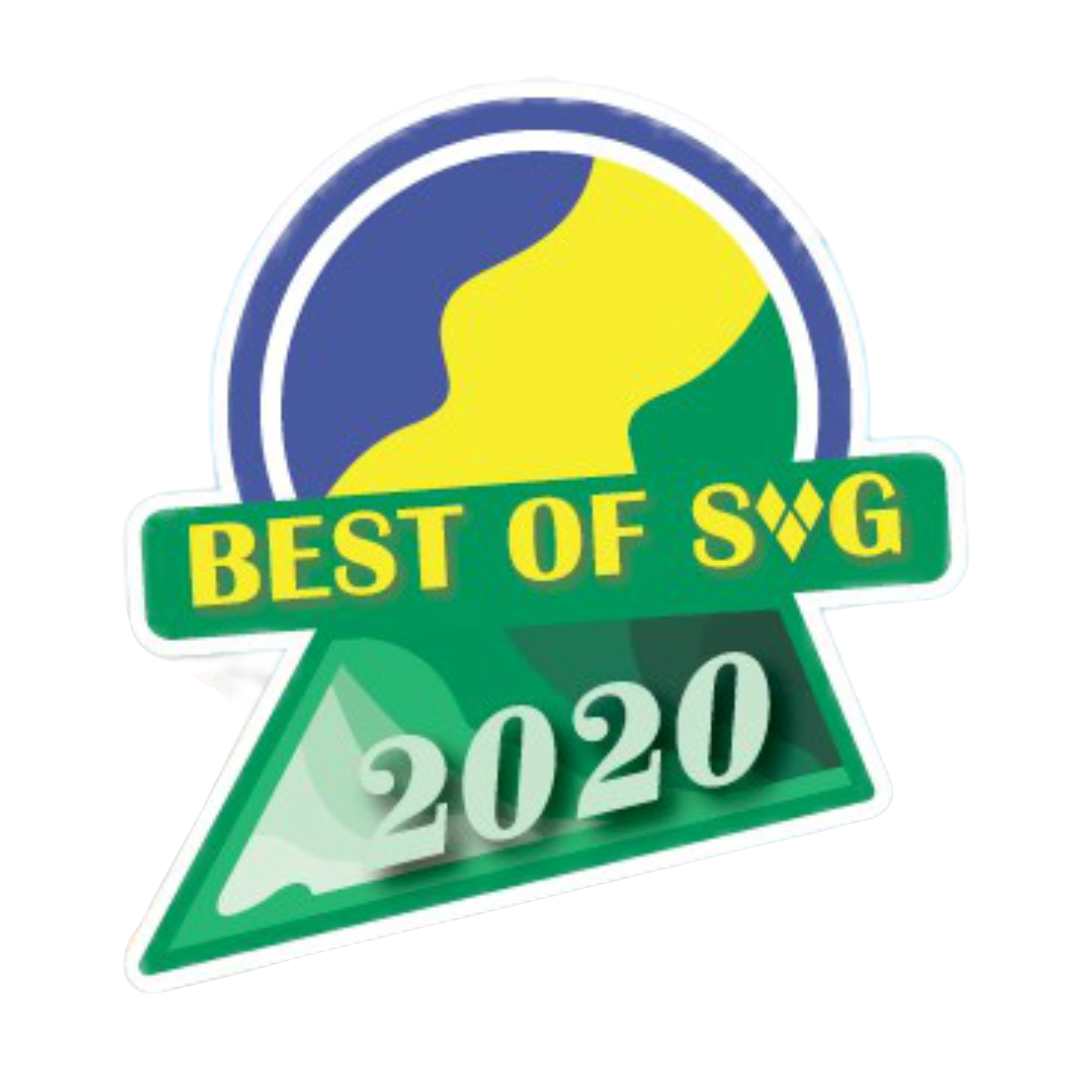 Best of 2020 logo